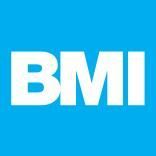 logo_bmi_2.jpg
